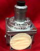 Dungs 230473 Modular Pressure Regulator