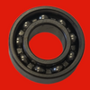 FAG 6004ZR Roller Bearing