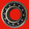 ZNL 1205 C3 Self-Aligning Ball Bearing