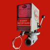 Eclipse 1-1/4" Safety Shut Off Valve, 205 LT-3