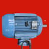 WEG W22 NEMA Premium Efficiency 10 HP Motor, 01018EP3E215T