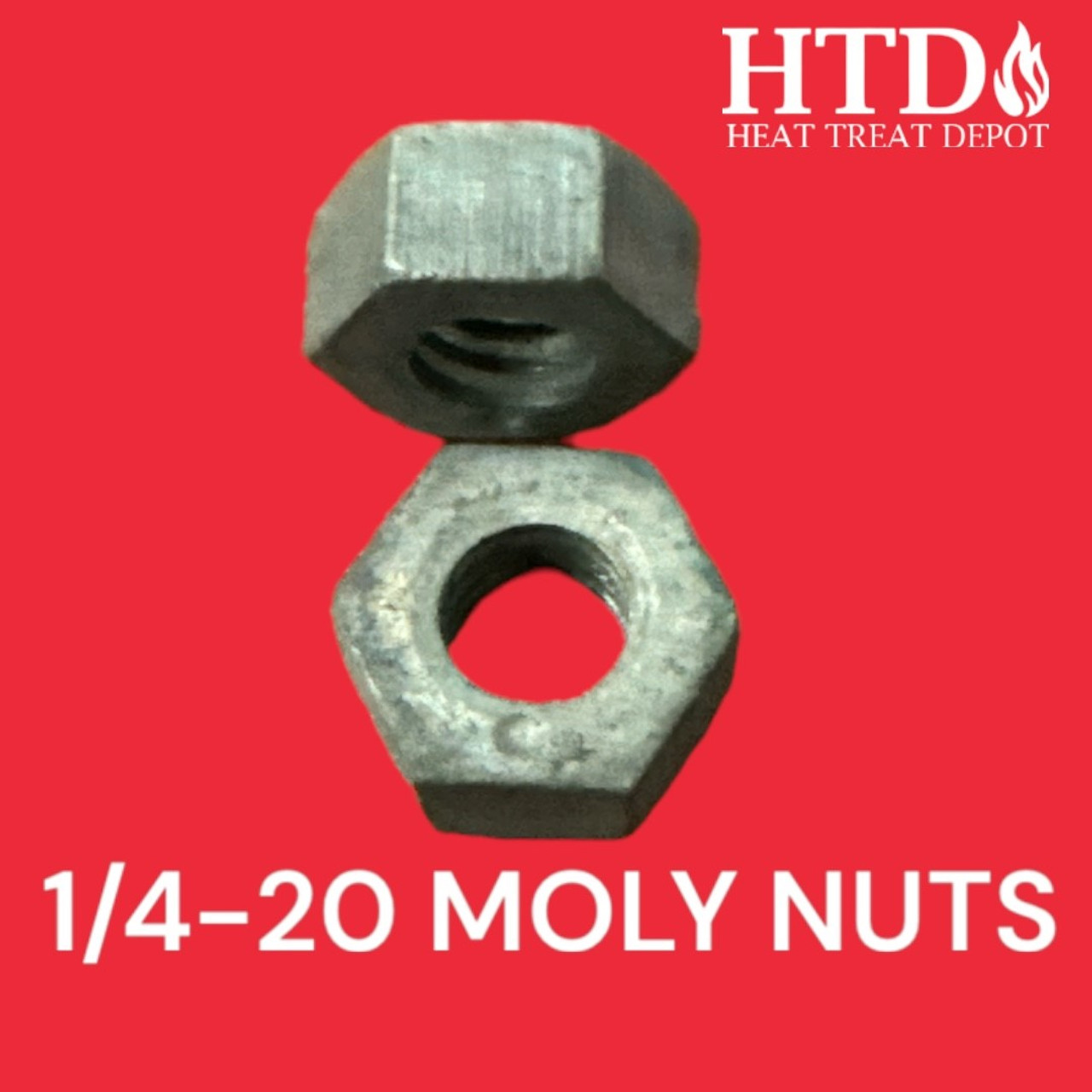 Moly Nuts 1/4-20 
