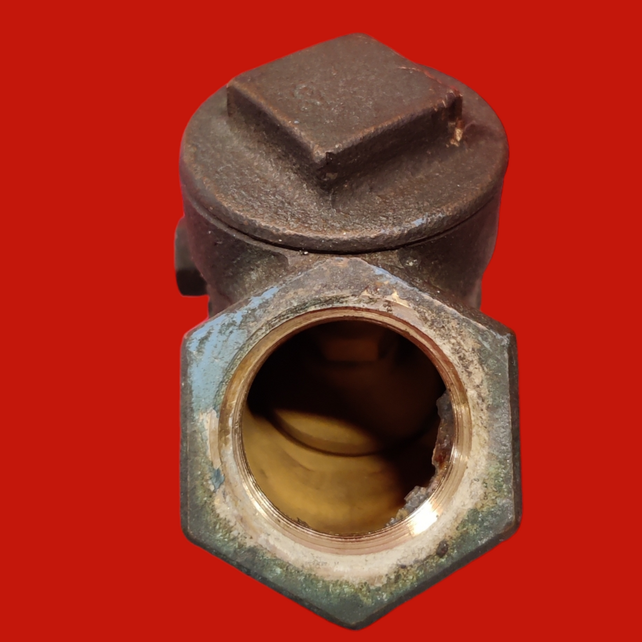 NIBCO 3/4" Brass Check Valve