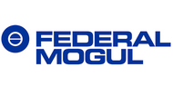 Federal Mogul