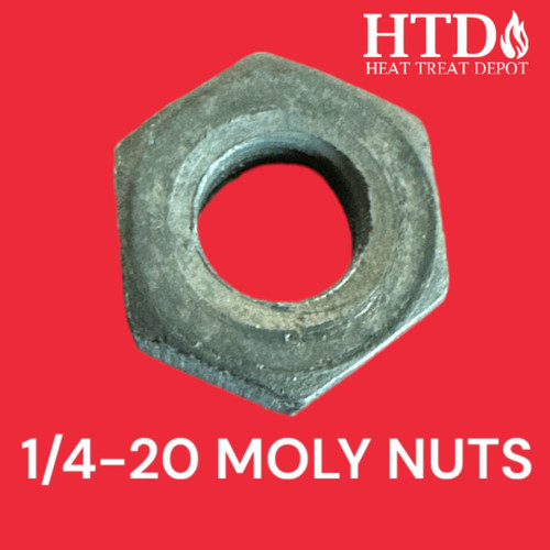 Moly Nuts 1/4-20 