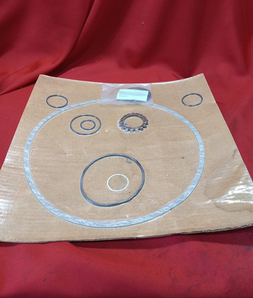 Goulds R196-MKM13 Repair Kit