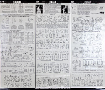 Baseline Baseline ISOM Measurement Chart