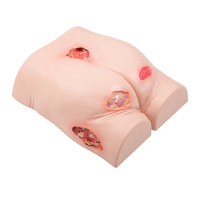 3B Scientific Decubitus trainer