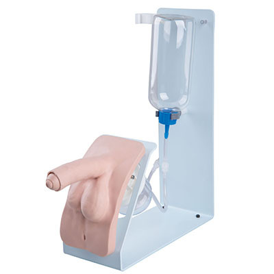 3B Scientific Catheterization simulator BASIC male