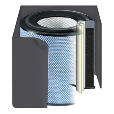 Austin Air Austin Air, Bedroom Machine Accessory - Black Replacement Filter Only