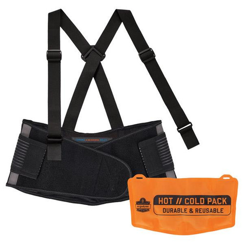 Ergodyne ProFlex 1675 Back Support with Cooling/Warming Pack