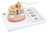 3B Scientific 3B Scientific Anatomical Model - spinal cord with nerve branches - Includes 3B Smart Anatomy