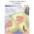 3B Scientific Anatomical Chart - female urinary incontinence chart, laminated