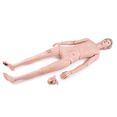 3B Scientific Patient Care Manikin Basic