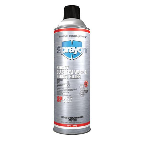 Krylon Sprayon Blast'Em SP857 Wasp and Hornet Killer