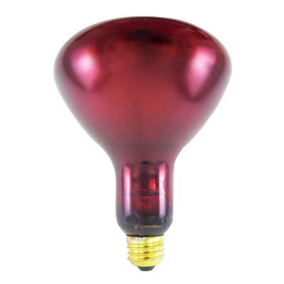 Generic Replacement infrared 175 watt ruby bulb, 110V