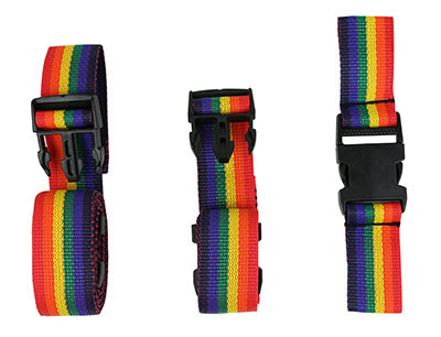 Skillbuilders Full support swing seat, Accessory, Harnesses for small swing seat