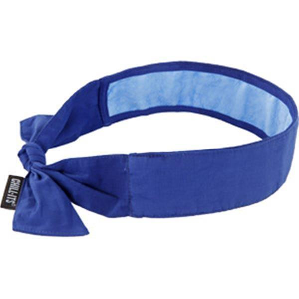 Ergodyne Personal Protection Equipment Blue Ergodyne Chill