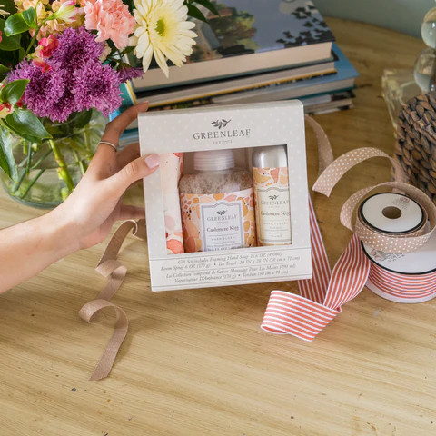 リラクゼーショングッズ TESCOM HAND CARE Raffle Greenleaf Foaming Hand Soap, Room Spray, and Tea Towel Gift Set