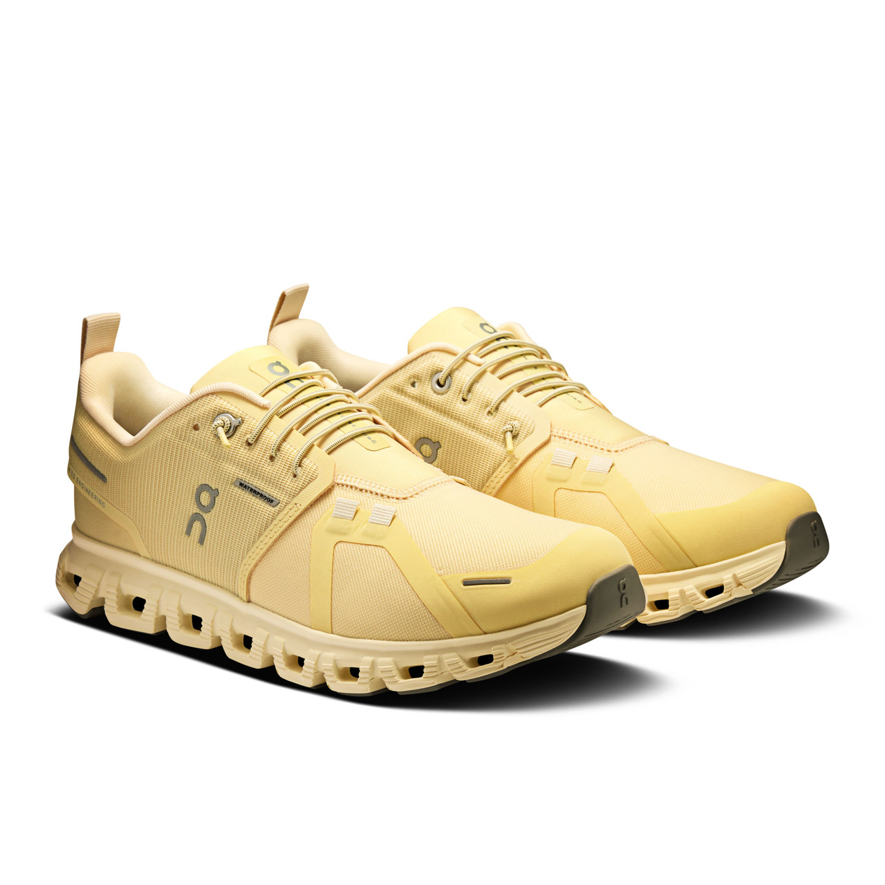 On Cloud 6 Waterproof Women's Shoe