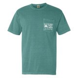 Southern Fried Cotton Raised in a Small Town Tee- Seafoam