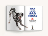 Teach Your Dog Crazy Tricks by Desiree van Zon