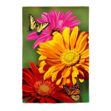 Evergreen Giant Gerbera Suede House Flag Evergreen Giant Gerbera Suede House Flag