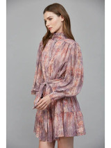 Fate Front Button Closure Ruffled Neck Mini Dress