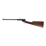 Heritage Rough Rider 16" .22 LR Carbine, Black