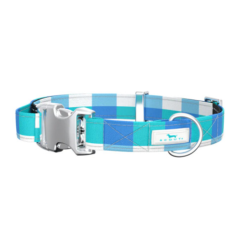 Scout Medium Dog Collar - Friend of Dorothy