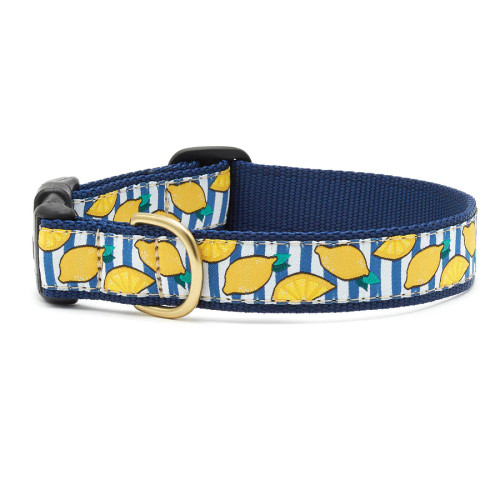 Up Country Make Lemonade Dog Collar - Narrow Small