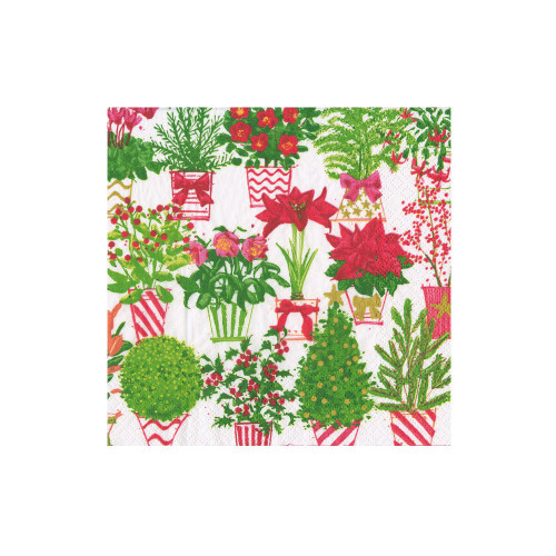 Caspari Christmas Flower Market Cocktail Napkins Caspari Christmas Flower Market Cocktail Napkins