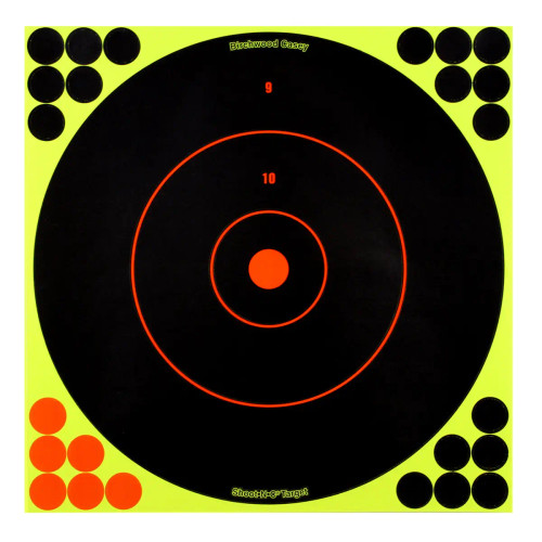 Birchwood Casey Shoot-N-C 12 Inch Bullseye Reactive Targets