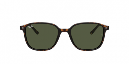 Ray-Ban Leonard Tortoise Glasses With Green Lens RB2193 902/31