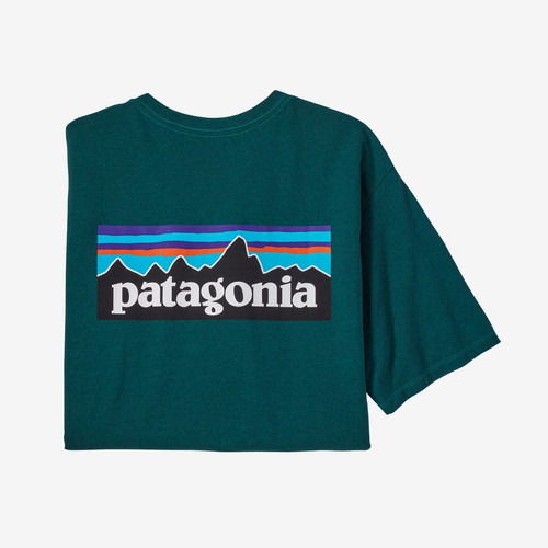 Patagonia Men's P-6 Logo Responsibili-Tee - Borealis Green