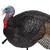 Primos Lil' Gobbstopper Jake Turkey Decoy