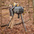 Moultrie Deer Feeder 325 Elite II