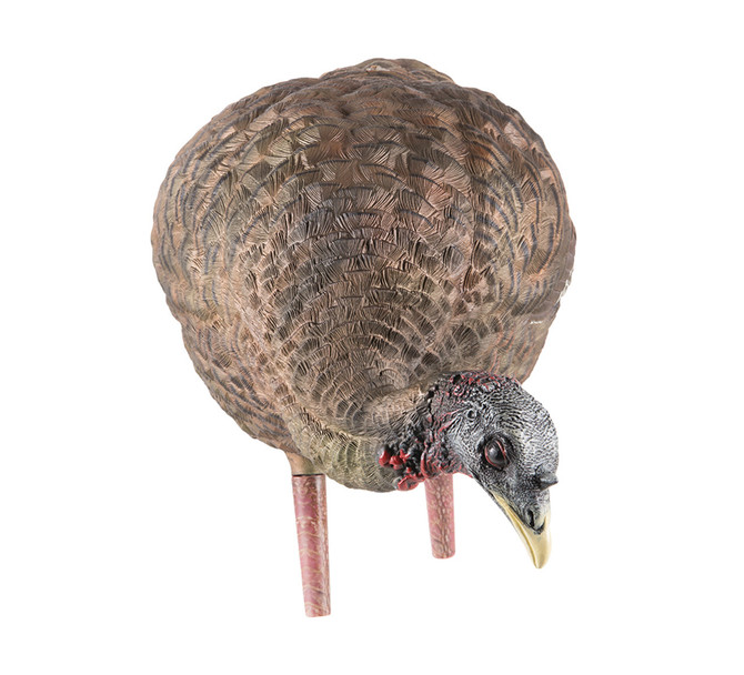 Avian-X LCD Feeder Hen