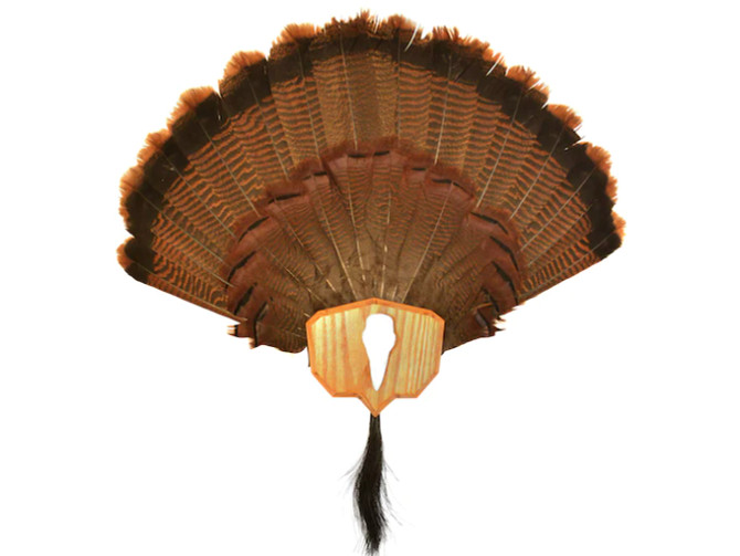 Hunter's Specialties Strut Single Fan Turkey Mounting Plaque