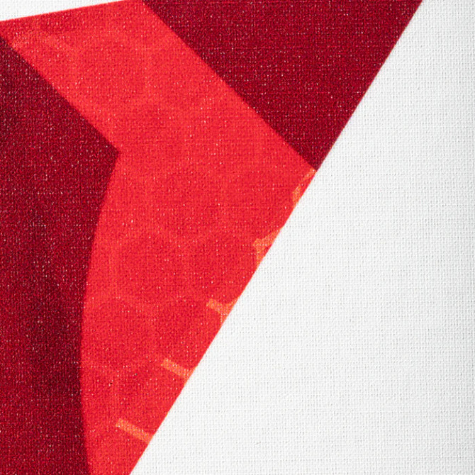 ONIX Mod Z5 Graphite Pickleball Paddle - Red