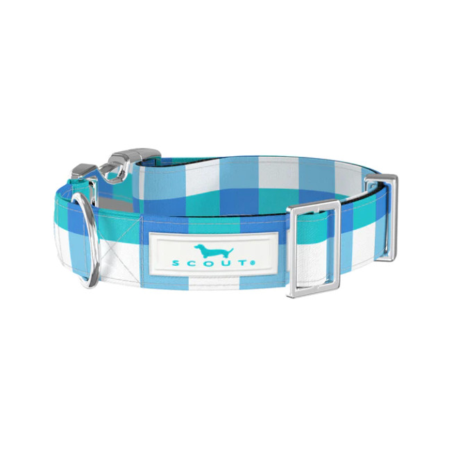 Scout Small Dog Collar - Friend of Dorothy