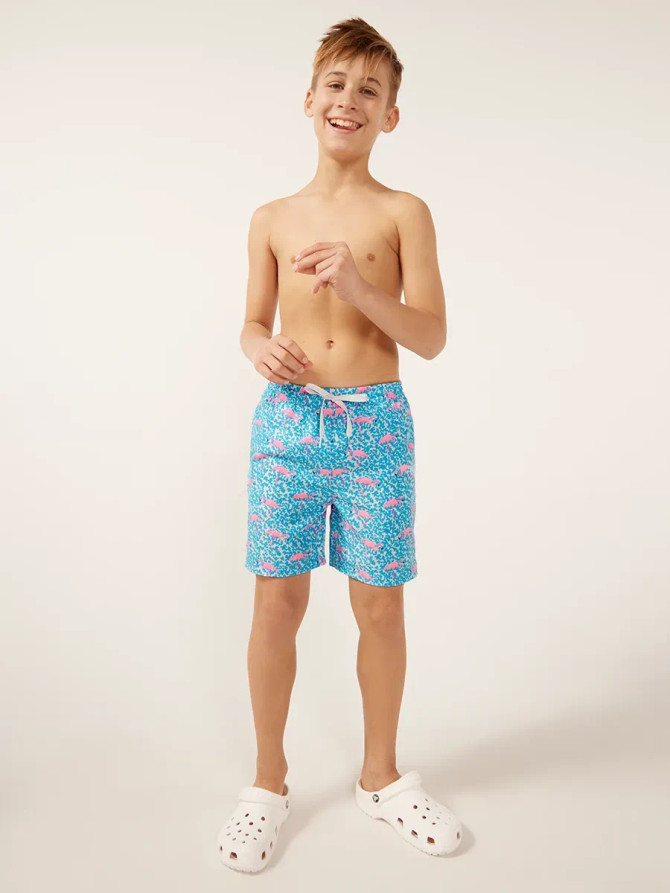 Chubbies The Domingos Are For Flamingos Boys Classic Swim Trunk