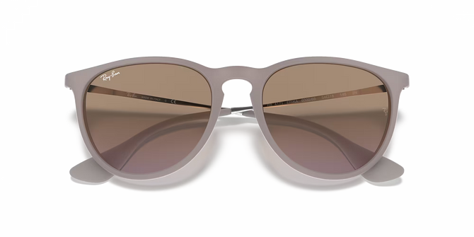 Ray-Ban Erika Classic Dark Sand