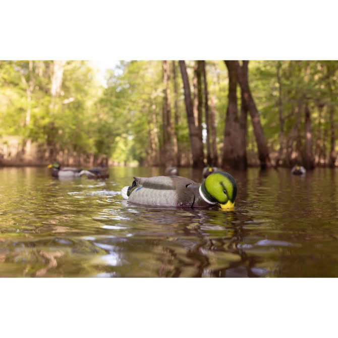 Higdon Outdoors Finisher Swimmer PRO Mallard Drake Motion Decoy