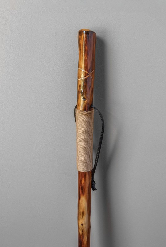 Manual Inspirational Fish Walking Stick