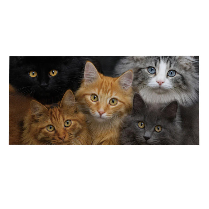 Evergreen Cats! Sassafras Switch Mat