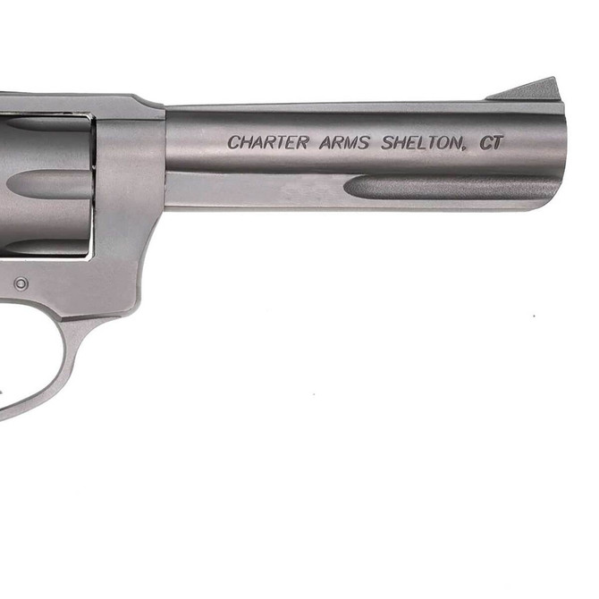 Charter Arms Target Pathfinder 22 Long Rifle 4.2in Matte Stainless Revolver - 8 Rounds
