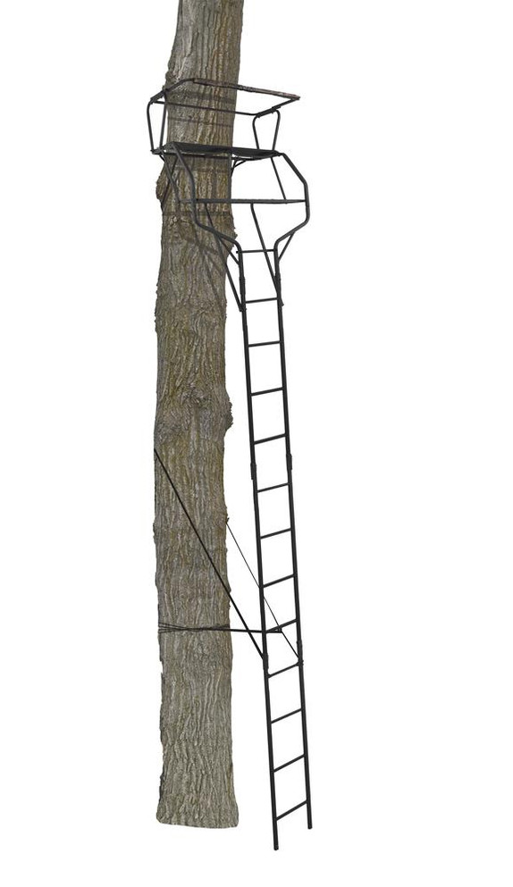 Big Game® Guardian XLT 18' 2-Person Ladder Treestand