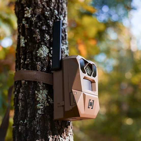 Edge 4 Game Camera by Moultrie