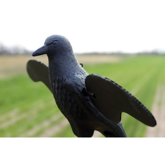 Mojo Outdoors Decoy, Crow